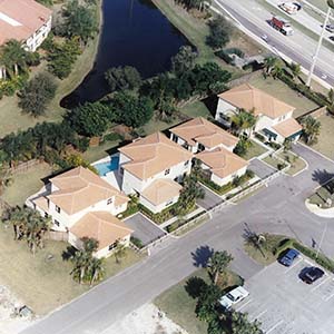 Cocopalms